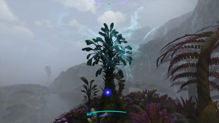 15 - Avatar Frontiers of Pandora: Wszystkie dzwonopędy - Chmurny Las, mapa - Avatar Frontiers of Pandora - poradnik do gry