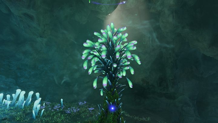 13 - Avatar Frontiers of Pandora: Wszystkie dzwonopędy - Chmurny Las, mapa - Avatar Frontiers of Pandora - poradnik do gry