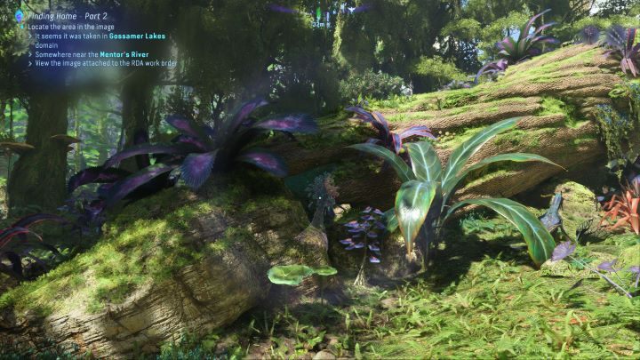 71 - Avatar Frontiers of Pandora: Wszystkie dzwonopędy - Las Kinglor, mapa - Avatar Frontiers of Pandora - poradnik do gry