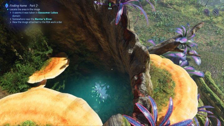 49 - Avatar Frontiers of Pandora: Wszystkie dzwonopędy - Las Kinglor, mapa - Avatar Frontiers of Pandora - poradnik do gry