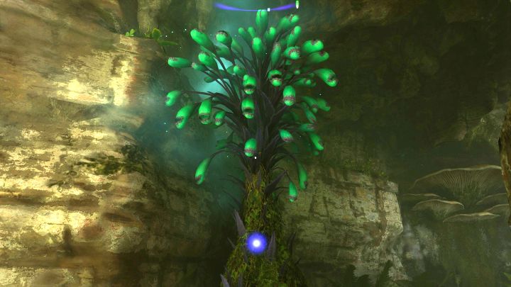 Sposób odblokowania: Dotknij 20 dzwonopędów - Avatar Frontiers of Pandora: Wszystkie trofea, osiągnięcia, poradnik trofeowy - Avatar Frontiers of Pandora - poradnik do gry