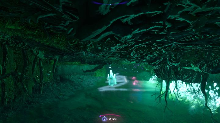 5 - Avatar Frontiers of Pandora: Jak dotrzeć na szczyt klifu w misji Pieśni przodka? - Avatar Frontiers of Pandora - poradnik do gry