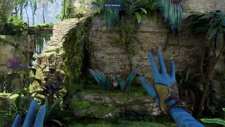 Dostęp do Ikrana odblokujecie w ramach głównego wątku, kilka godzin po rozpoczęciu zabawy - Avatar Frontiers of Pandora: Ikran - Avatar Frontiers of Pandora - poradnik do gry