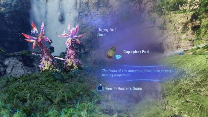 Temat regenerowania sił życiowych szerzej opisaliśmy na odrębnej stronie Jak leczyć postać - Avatar Frontiers of Pandora: Jak powiększyć sakwę leczniczą? - Avatar Frontiers of Pandora - poradnik do gry