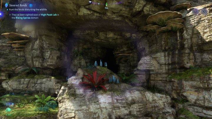 25 - Avatar Frontiers of Pandora: Wszystkie sadzonki tarsyu, mapa - Avatar Frontiers of Pandora - poradnik do gry