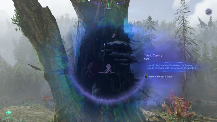 75 - Avatar Frontiers of Pandora: Wszystkie sadzonki tarsyu, mapa - Avatar Frontiers of Pandora - poradnik do gry