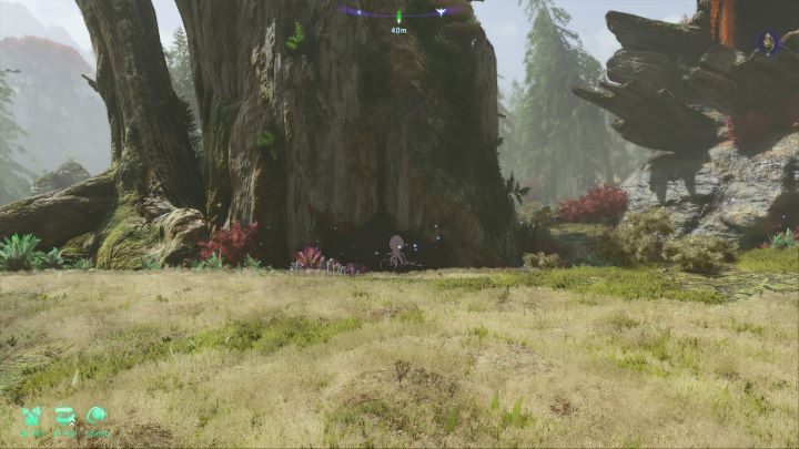 89 - Avatar Frontiers of Pandora: Wszystkie sadzonki tarsyu, mapa - Avatar Frontiers of Pandora - poradnik do gry