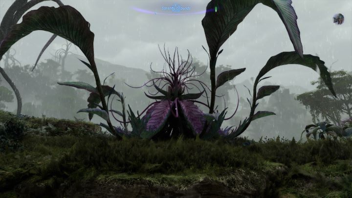 1 - Avatar Frontiers of Pandora: Wszystkie umiejętności przodków mapa - Avatar Frontiers of Pandora - poradnik do gry