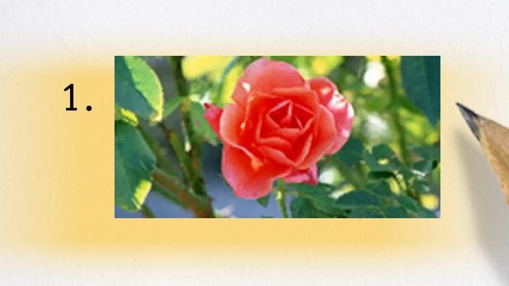 3 - Infinite Wealth: Wszystkie egzaminy w Ounabara Vocational School - Like a Dragon Infinite Wealth - poradnik do gry