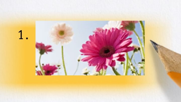 Koszt egzaminu to 500 dolarów - Infinite Wealth: Wszystkie egzaminy w Ounabara Vocational School - Like a Dragon Infinite Wealth - poradnik do gry