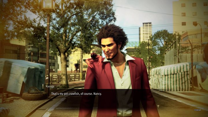 1 - Infinite Wealth: Czy można mieć własnego zwierzaka (pet)? - Like a Dragon Infinite Wealth - poradnik do gry