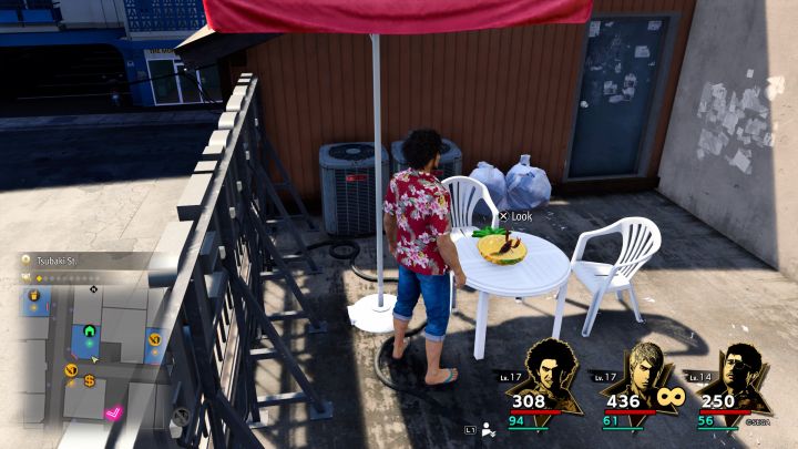 2 - Infinite Wealth: Czy można mieć własnego zwierzaka (pet)? - Like a Dragon Infinite Wealth - poradnik do gry