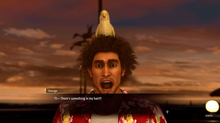 6 - Infinite Wealth: Czy można mieć własnego zwierzaka (pet)? - Like a Dragon Infinite Wealth - poradnik do gry