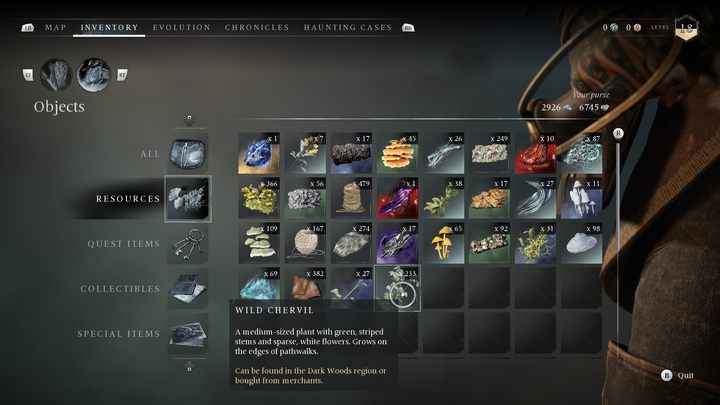 Pospolita roślina o białych kwiatach rosnąca w regionie Mrocznego Lasu - Banishers: Wszystkie zasoby do rytuałów - Banishers Ghosts of New Eden - poradnik do gry