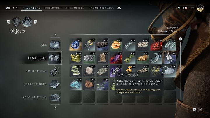 Pospolity grzyb porastający pnie drzew i stare, drewniane konstrukcje - Banishers: Wszystkie zasoby do rytuałów - Banishers Ghosts of New Eden - poradnik do gry