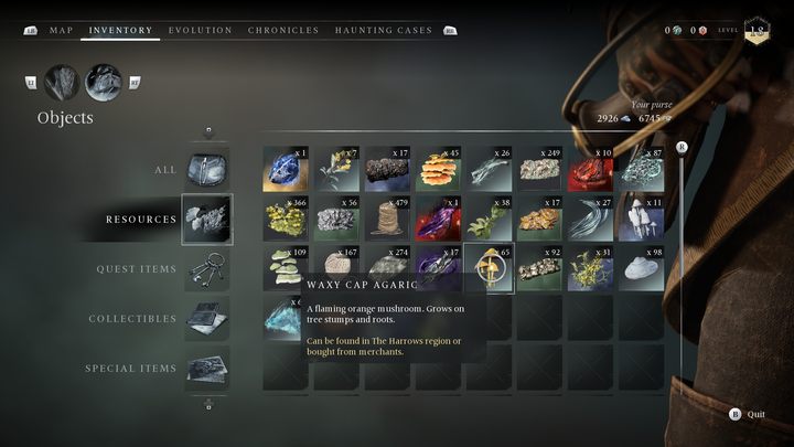 Grzyb o pomarańczowym kolorze - Banishers: Wszystkie zasoby do rytuałów - Banishers Ghosts of New Eden - poradnik do gry