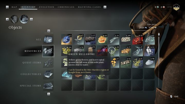 Wysoka roślina lubiąca rosnąć w pobliżu wody - Banishers: Wszystkie zasoby do rytuałów - Banishers Ghosts of New Eden - poradnik do gry