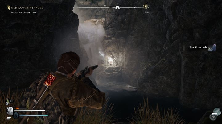 15 - Banishers: Wszystkie łapacze dusz - Mroczny Las - Banishers Ghosts of New Eden - poradnik do gry