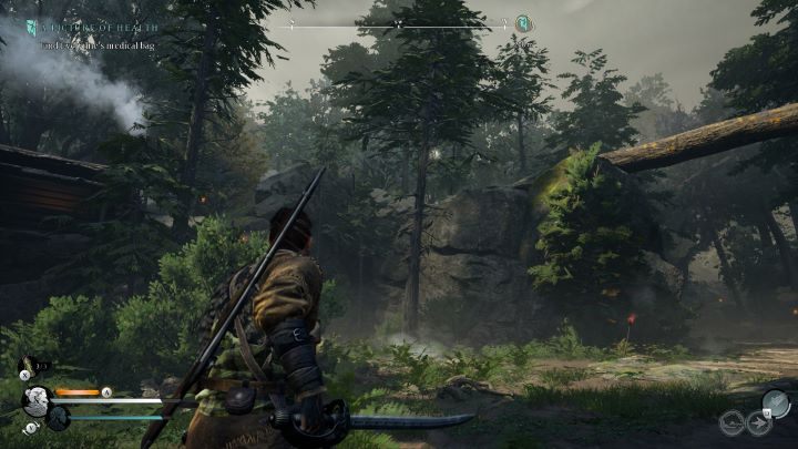 21 - Banishers: Wszystkie łapacze dusz - Mroczny Las - Banishers Ghosts of New Eden - poradnik do gry