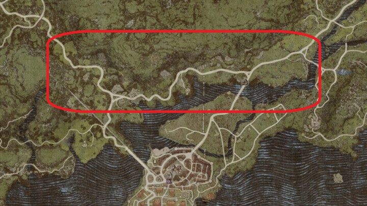 Jeżeli znajdujecie się aktualnie w stolicy, poczekajcie na zachód słońca i pod osłoną mroku wyjdźcie poza mury miasta - Dragons Dogma 2: Jak ukończyć zadanie Saint of the Slums? - Dragons Dogma 2 - poradnik do gry