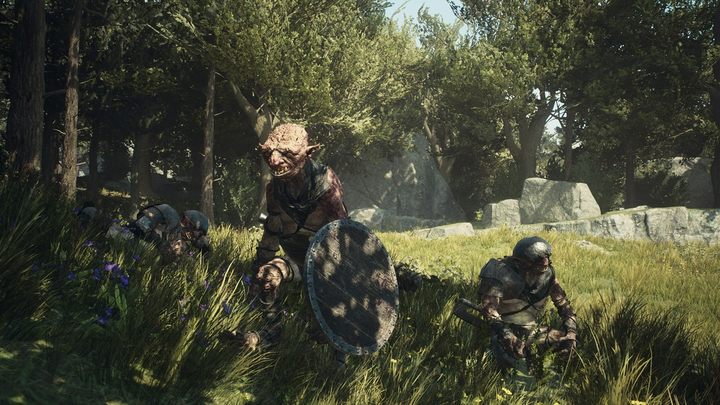 Źródło fot.: www.dragonsdogma.com - Dragons Dogma 2: Wszyscy bossowie, bestiariusz - Dragons Dogma 2 - poradnik do gry