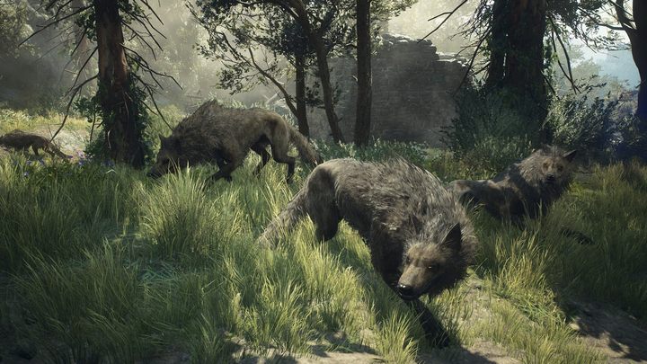 Źródło fot.: www.dragonsdogma.com - Dragons Dogma 2: Wszyscy bossowie, bestiariusz - Dragons Dogma 2 - poradnik do gry