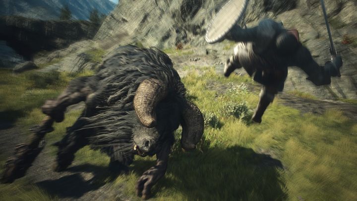 Źródło fot.: www.dragonsdogma.com - Dragons Dogma 2: Wszyscy bossowie, bestiariusz - Dragons Dogma 2 - poradnik do gry