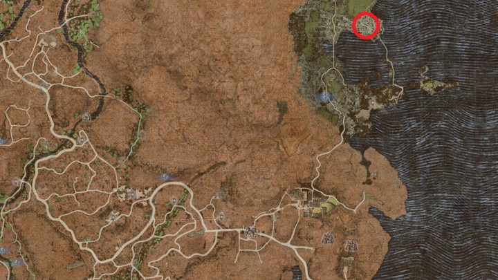 By ulepszyć ekwipunek w stylu Wyrmfire musicie udać się do postaci znanej jako The Dragonforged - Dragons Dogma 2: Do czego służą Wyrmslife Crystals? - Dragons Dogma 2 - poradnik do gry