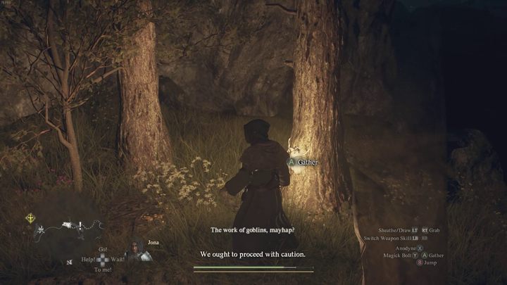 Bezpośrednim sposobem na zwiększenie udźwigu Waszej postaci jest odnalezienie i zjedzenie owada o nazwie Golden Trove Beetle - Dragons Dogma 2: Jak zwiększyć udźwig postaci? - Dragons Dogma 2 - poradnik do gry