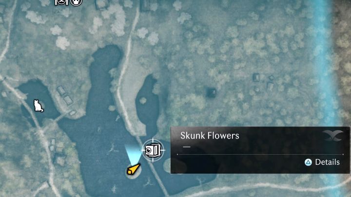 3 - Rise of the Ronin: Wszystkie zdjęcia w regionie Edo - Rise of the Ronin - poradnik do gry