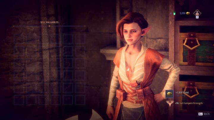 Prezenty zazwyczaj zdobędziecie w jeden sposób - poprzez kupno ich od handlarzy frakcyjnych - Dragon Age Veilguard: Czym są i do czego służą prezenty? - Dragon Age Veilguard - poradnik do gry