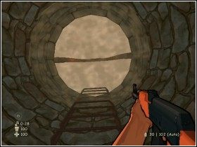 Nad jeziorkiem z nenufarami długo się nie zastanawiaj tylko do niego wskocz i zanurkuj - [Solucja] Sanktuarium cz.1 | XIII - XIII - poradnik do gry