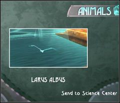 Skieruj się do schodów prowadzących na wyższe piętro - 03 Lighthouse | Beyond Good & Evil - Beyond Good & Evil - poradnik do gry