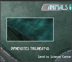 Zanim cokolwiek zrobisz podejdź do wody i wyciągnij aparat - 04 Lighthouse | Beyond Good & Evil - Beyond Good & Evil - poradnik do gry