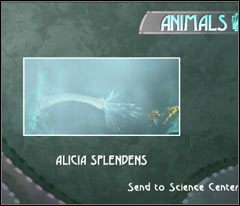 Zanim zajmiesz się latającymi kawałek dalej Crochaxami zrób zdjęcie jednej z macek wystających ze ścian - 12 Black Isle | Beyond Good & Evil - Beyond Good & Evil - poradnik do gry