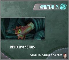 Przebiegnij po świeżo zbadanym okazie (spokojnie, nic Ci nie zrobi) i podejdź do znajdującej się obok muszli - 13 Black Isle | Beyond Good & Evil - Beyond Good & Evil - poradnik do gry