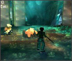 Podejdź do dobrze znanej pomarańczowej rośliny - 20 Hillys | Beyond Good & Evil - Beyond Good & Evil - poradnik do gry