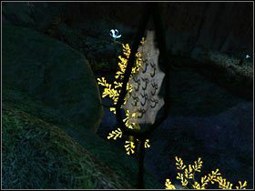 Wróciłem do Pawilonu, a potem ruszyłem w dół, ścieżką, którą wcześniej tu się dostałem - 26. BRADA COE cz.2 | Schizm II Kameleon - Schizm II: Kameleon - poradnik do gry