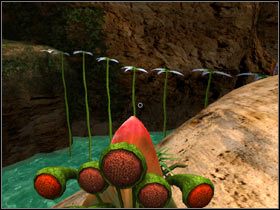 Przeszedłem po nim bardzo ostrożnie, by nie nacisnąć mocniej któregoś płatka i zanurzyłem się w mroczną jaskinię - 24. STREFA NEUTRALNA | Schizm II Kameleon - Schizm II: Kameleon - poradnik do gry