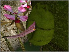 3 - 36. MOST WINDMILL | Schizm II Kameleon - Schizm II: Kameleon - poradnik do gry