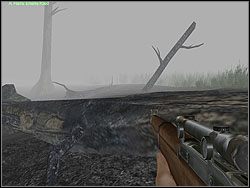 Wyjdź na powierzchnię i cała drużyną przejdź we wskazane miejsce, na polanę przy wielkim pniu - Mountain King cd. | Operation Stranger | Hidden and Dangerous 2 - Hidden and Dangerous 2 - poradnik do gry