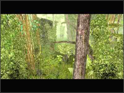 Okolica powinna być już w miarę czysta - Preventive Strike cz.2 | Vietcong Fist Alpha - Vietcong: Fist Alpha - poradnik do gry