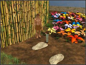 Wróciłam do wejścia do wioski i tym razem wybrałam lewą ścieżkę, a potem pierwszą odnogę (również w lewo) - Giganci cz.1 | Podróż Do Wnętrza Ziemi - Podróż Do Wnętrza Ziemi - poradnik do gry