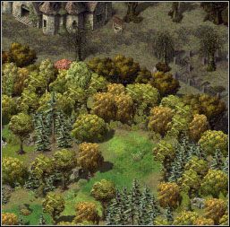 Skieruj się drogą na wschód i przed samym lasem wejdź na polanę na południu - Misje 17-18 | Akt I | Sacred - Sacred - poradnik do gry