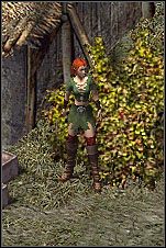 Zadanie wymaga trochę poszukiwań, gdyż kapitan nie odróżnia się niczym szczególnym od pozostałych żołnierzy - Misje 35-36 | Akt I | Sacred - Sacred - poradnik do gry