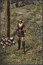 Musisz udać się do siedziby inkwizycji i podmienić ważne dokumenty - Misje 35-36 | Akt I | Sacred - Sacred - poradnik do gry