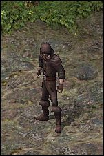 Antidotum znajduje się w rękach bandyty, który kryje się w swojej kryjówce w lesie na zachód od Faeries Crossin g - Misje 28-30 | Akt I | Sacred - Sacred - poradnik do gry