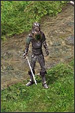 Skieruj się na most na północny-wschód od Faeries Crossing - Misje 31-34 | Akt I | Sacred - Sacred - poradnik do gry