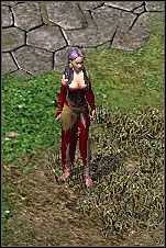 Farma znajduje się kilka kroków na południe stąd - Misje 31-34 | Akt I | Sacred - Sacred - poradnik do gry