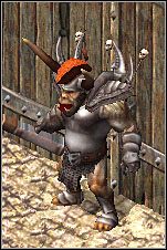 Ork pilnujący bramy poprosi cię o zabicie potworów grasujących na południe stąd - Misje 53-54 | Akt II | Sacred - Sacred - poradnik do gry